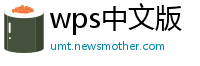 wps中文版